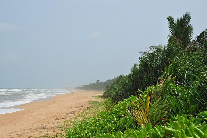 Southern Coast & Colombo Escape destination photograph