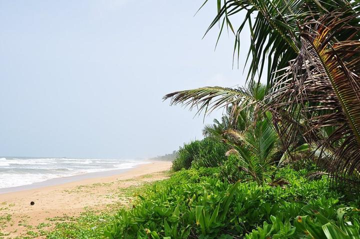 Southern Coast & Colombo Escape destination photograph