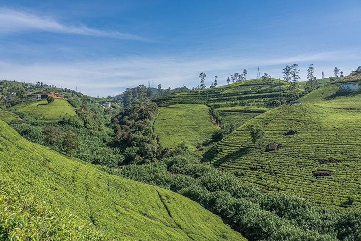 Kandyan Heritage, Tea Country & Colombo Highlights destination photograph