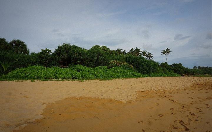 Southern Coast & Colombo Escape destination photograph