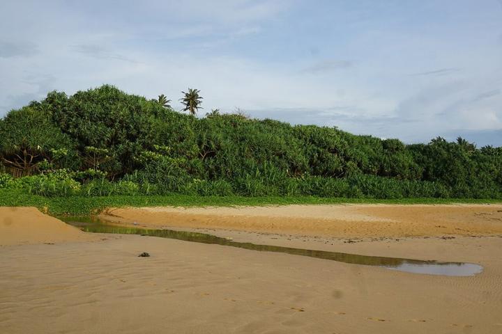 Tea Country & Southern Shores destination photograph