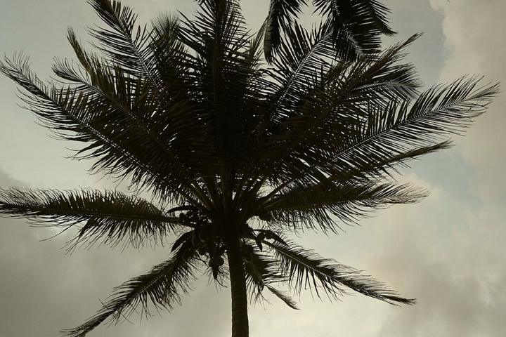 Kandyan Heritage, Tea Country & Southern Shores destination photograph