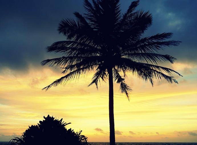 Kandyan Heritage, Tea Country, Wildlife Safari & Southern Shores destination photograph