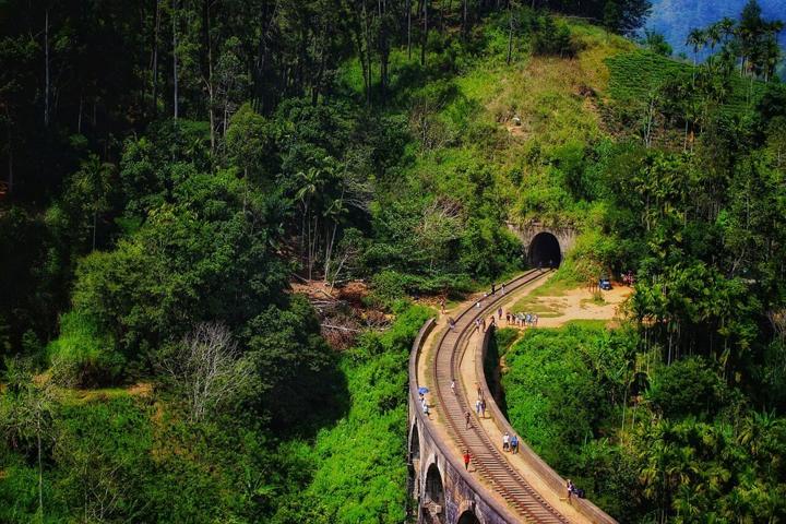 Tea Trails & Southern Shores destination photograph