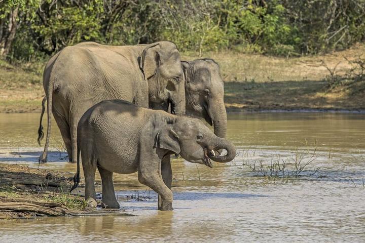 Ancient Kingdoms, Wildlife & Coast destination photograph