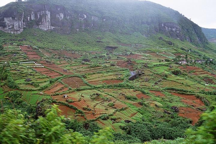 Cultural Triangle, Tea & Coast destination photograph